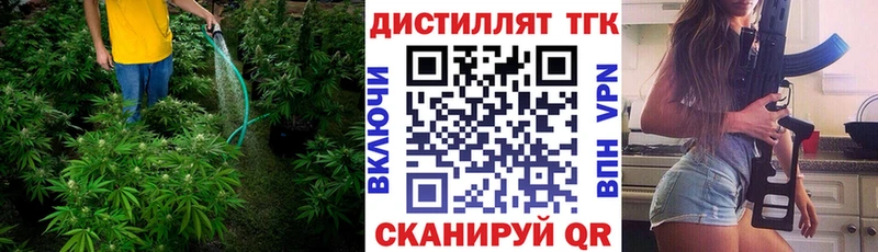 Купить закладки  Велиж  Дистиллят ТГК вейп с тгк 
